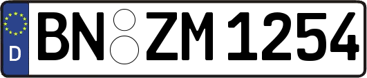 BN-ZM1254