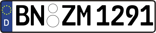 BN-ZM1291