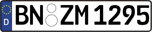 BN-ZM1295