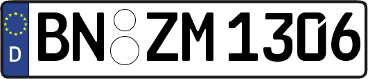 BN-ZM1306