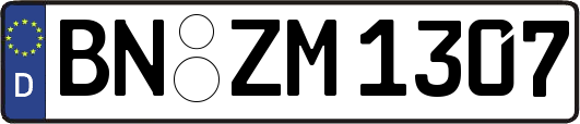 BN-ZM1307