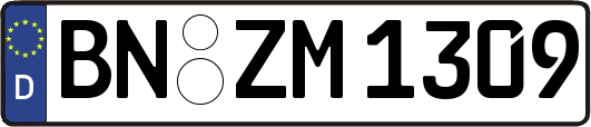 BN-ZM1309