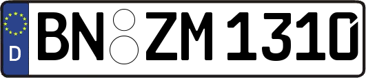 BN-ZM1310