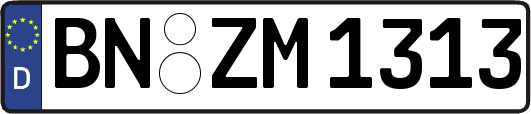 BN-ZM1313