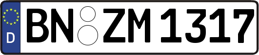 BN-ZM1317