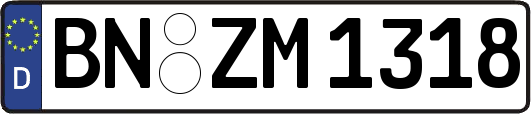 BN-ZM1318