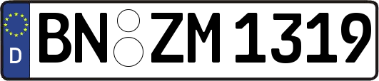 BN-ZM1319