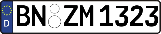 BN-ZM1323