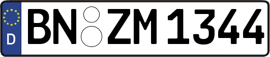 BN-ZM1344
