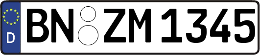 BN-ZM1345