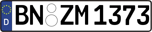 BN-ZM1373