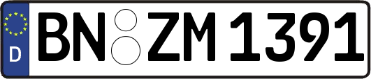 BN-ZM1391