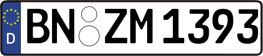BN-ZM1393