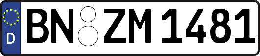 BN-ZM1481