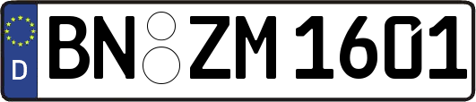 BN-ZM1601