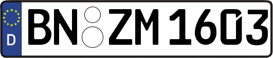 BN-ZM1603
