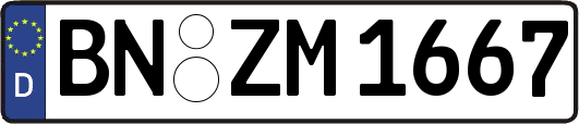 BN-ZM1667