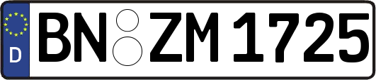 BN-ZM1725