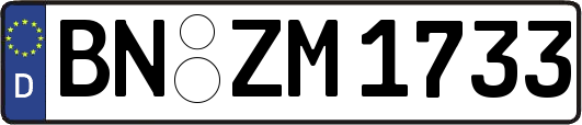BN-ZM1733