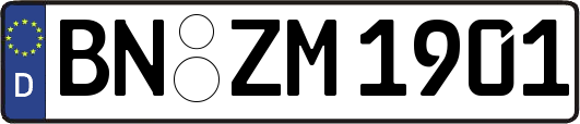 BN-ZM1901