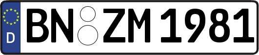 BN-ZM1981