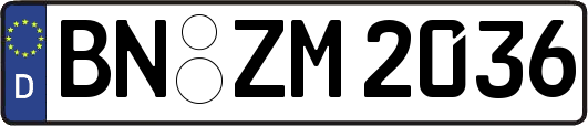 BN-ZM2036