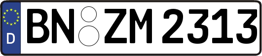 BN-ZM2313