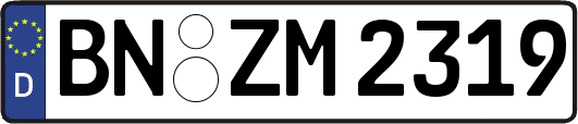 BN-ZM2319