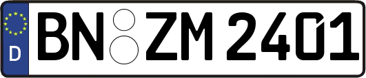 BN-ZM2401