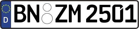 BN-ZM2501
