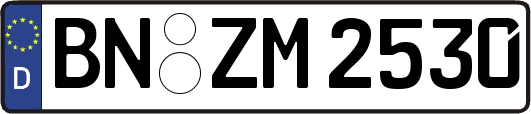 BN-ZM2530