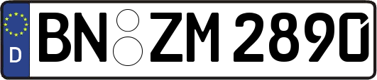 BN-ZM2890
