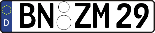 BN-ZM29