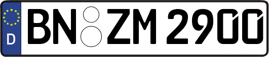 BN-ZM2900