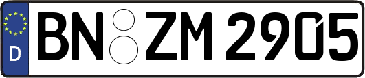 BN-ZM2905