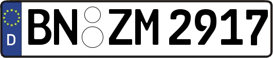 BN-ZM2917