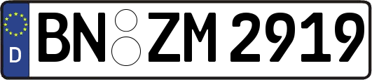 BN-ZM2919