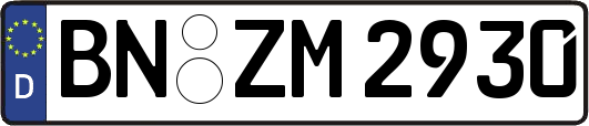 BN-ZM2930