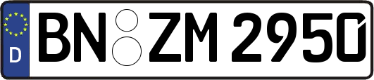 BN-ZM2950