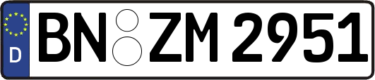 BN-ZM2951