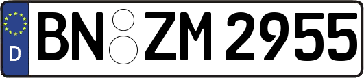 BN-ZM2955