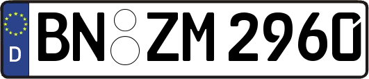 BN-ZM2960