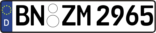 BN-ZM2965