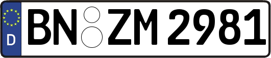 BN-ZM2981
