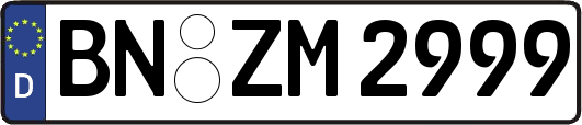 BN-ZM2999