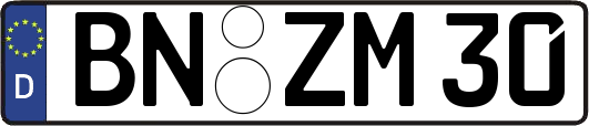 BN-ZM30