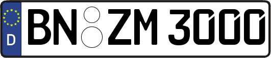 BN-ZM3000