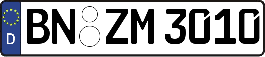 BN-ZM3010