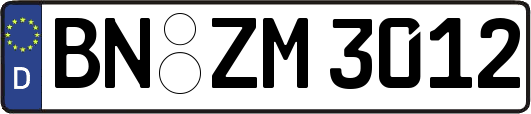 BN-ZM3012