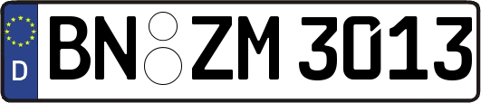 BN-ZM3013